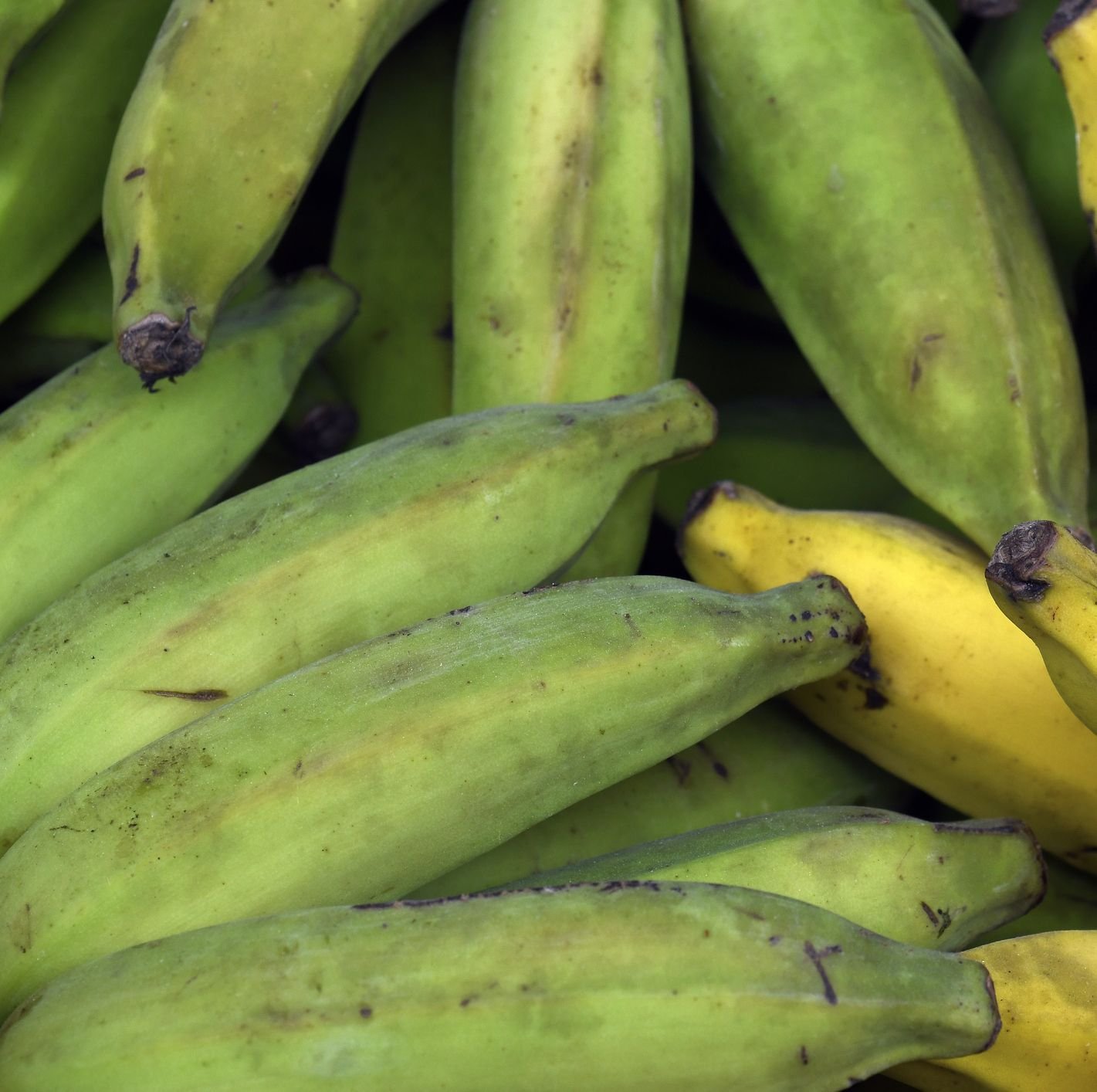 banana