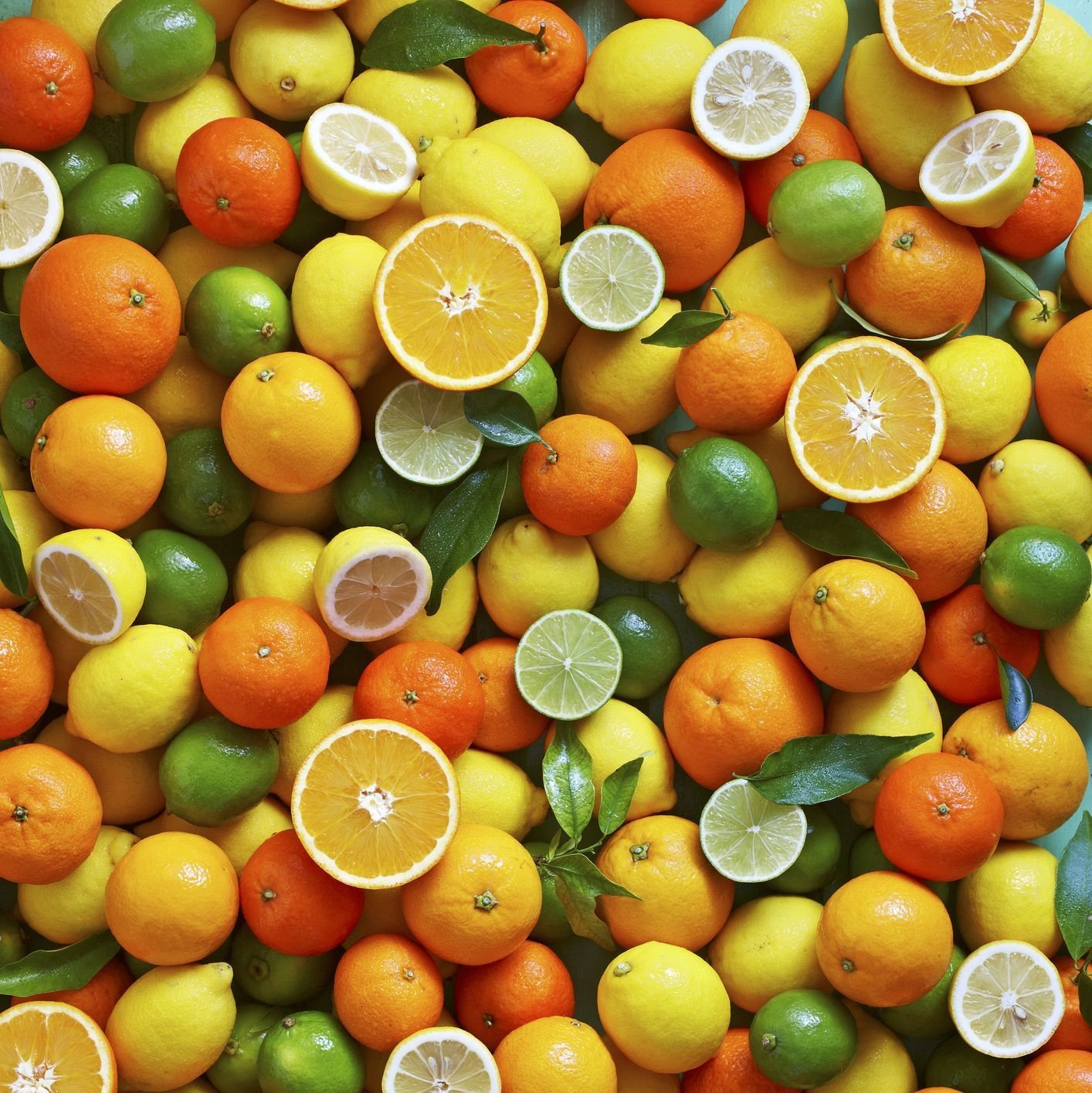 Collagen-Rich Foods